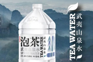 泡茶水品牌策劃設(shè)計案例